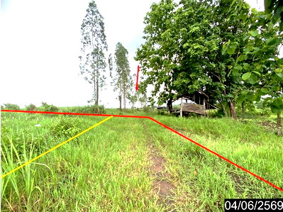 Land for sale Loei : LAND 5579.1 Sq.w. Tha Li Loei for 1.2M