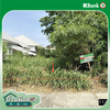 listing thumbnail image 12
