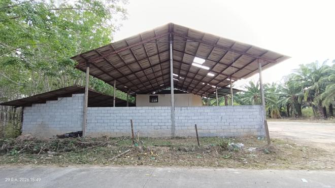 picture FACTORY 1620.3 Sq.w. Huai Yot Trang for 4.8M - 2/35