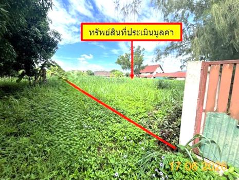 picture LAND 381.5 Sq.w. Muang Lampang Lamphang for 1.1M - 16/19