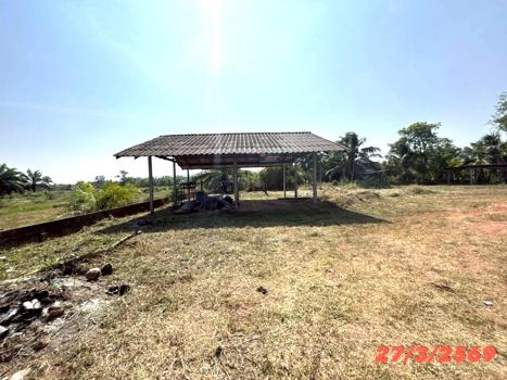 picture FACTORY 3056 Sq.w. Chaiya Surat Thani for 2.1M - 20/23