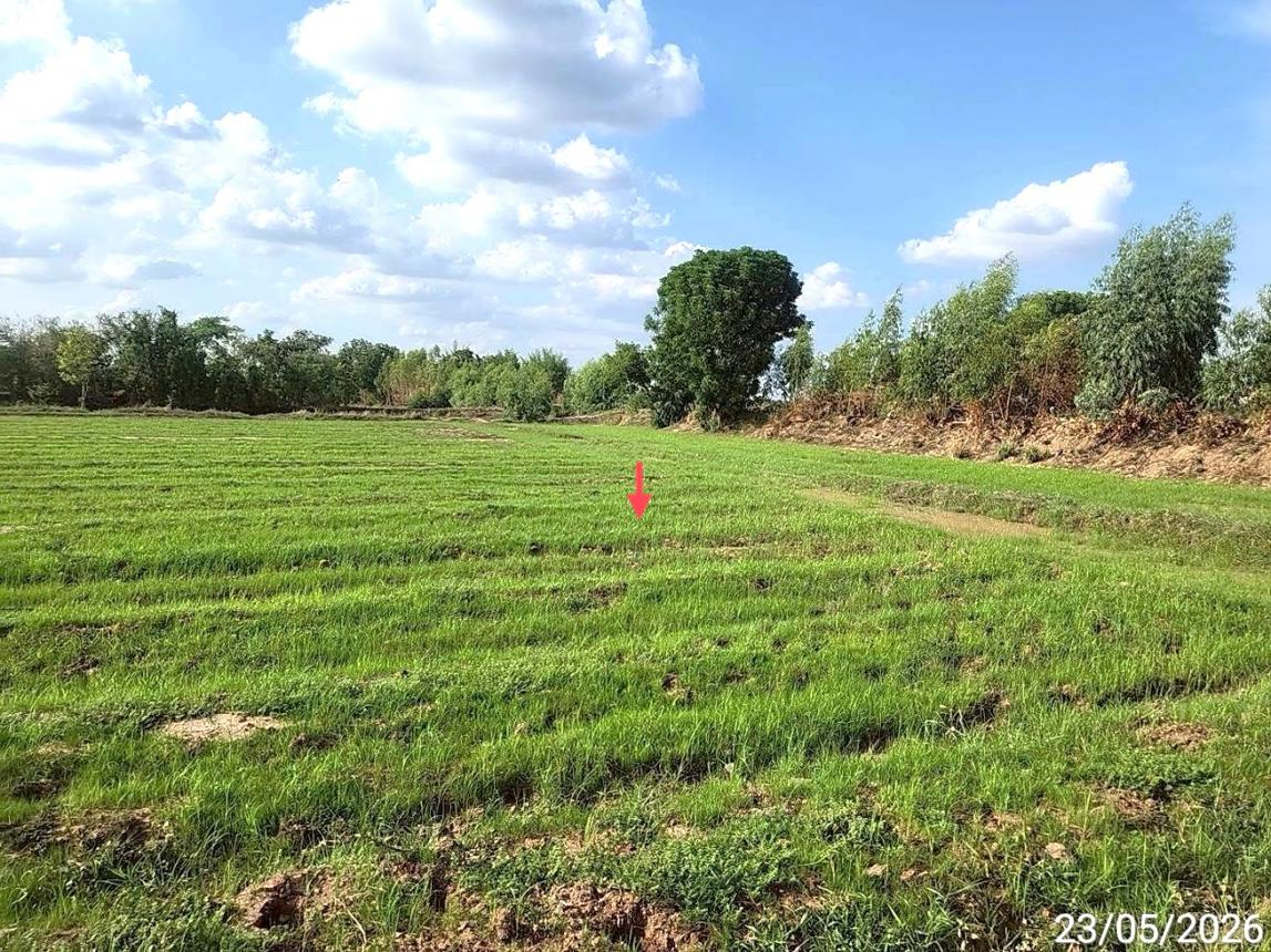 picture LAND 2647 Sq.w. Phayakkhaphum Phisai Maha Sarakham for 929,000 - 14/23