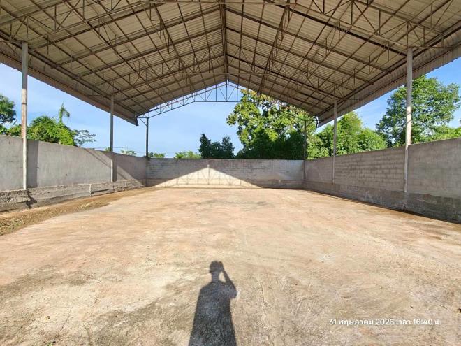 รูป บ้านเดี่ยว 5520 ตร.วา ชานุมาน อำนาจเจริญ 10.2M - รูปที่ 16/55