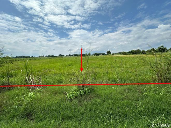 picture LAND 2520 Sq.w. Wang Thong Phitsanulok for 1.4M - 1/19