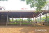 listing thumbnail image 18
