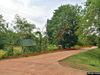 listing thumbnail image 8