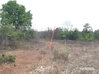 listing thumbnail image 19
