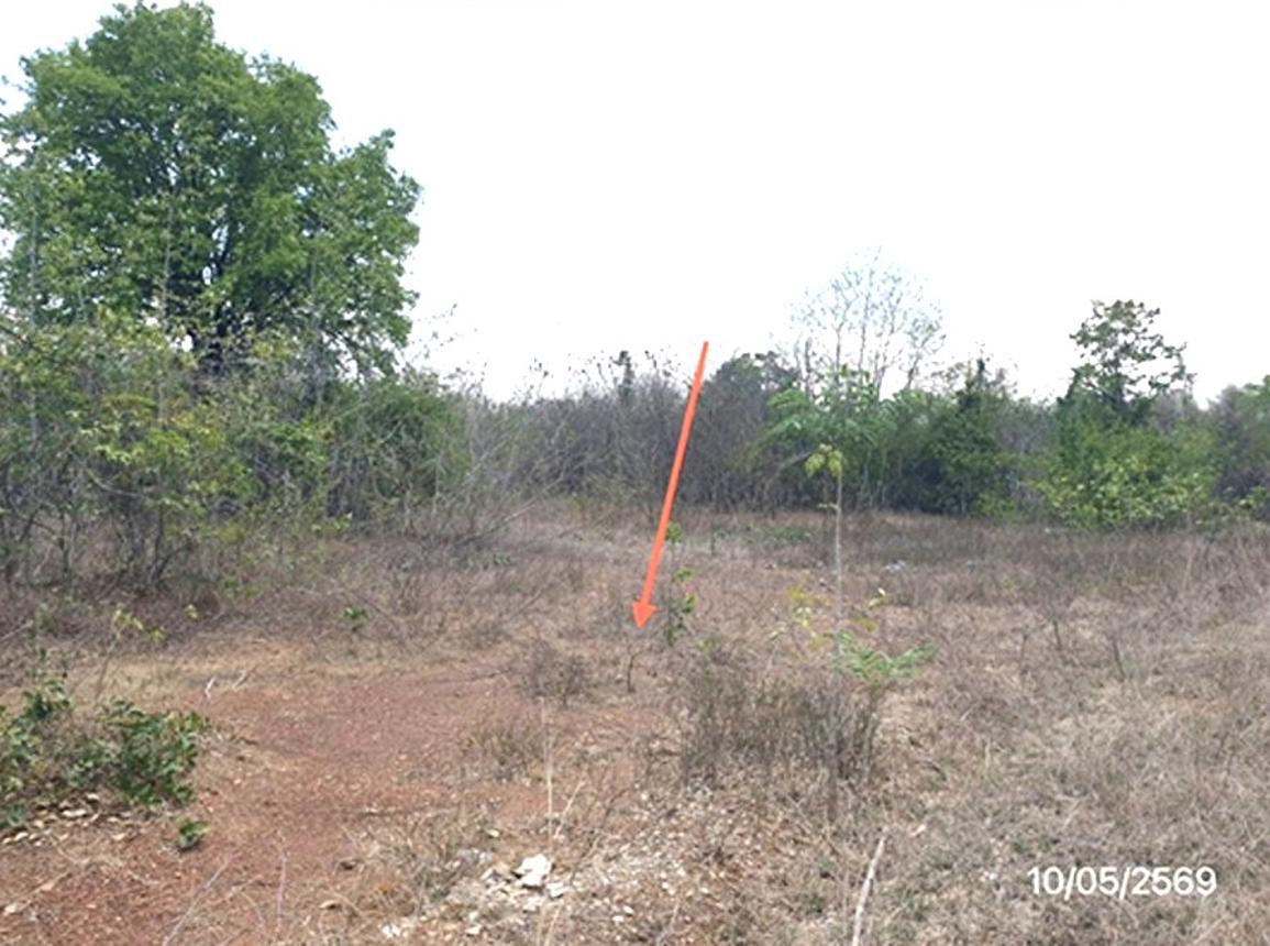 picture LAND 746 Sq.w. Mae Tha Lamphang for 996,000 - 20/25