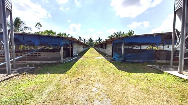 รูป ฟาร์ม 1603 ตร.วา เมืองพัทลุง พัทลุง 5.7M - รูปที่ 6/43