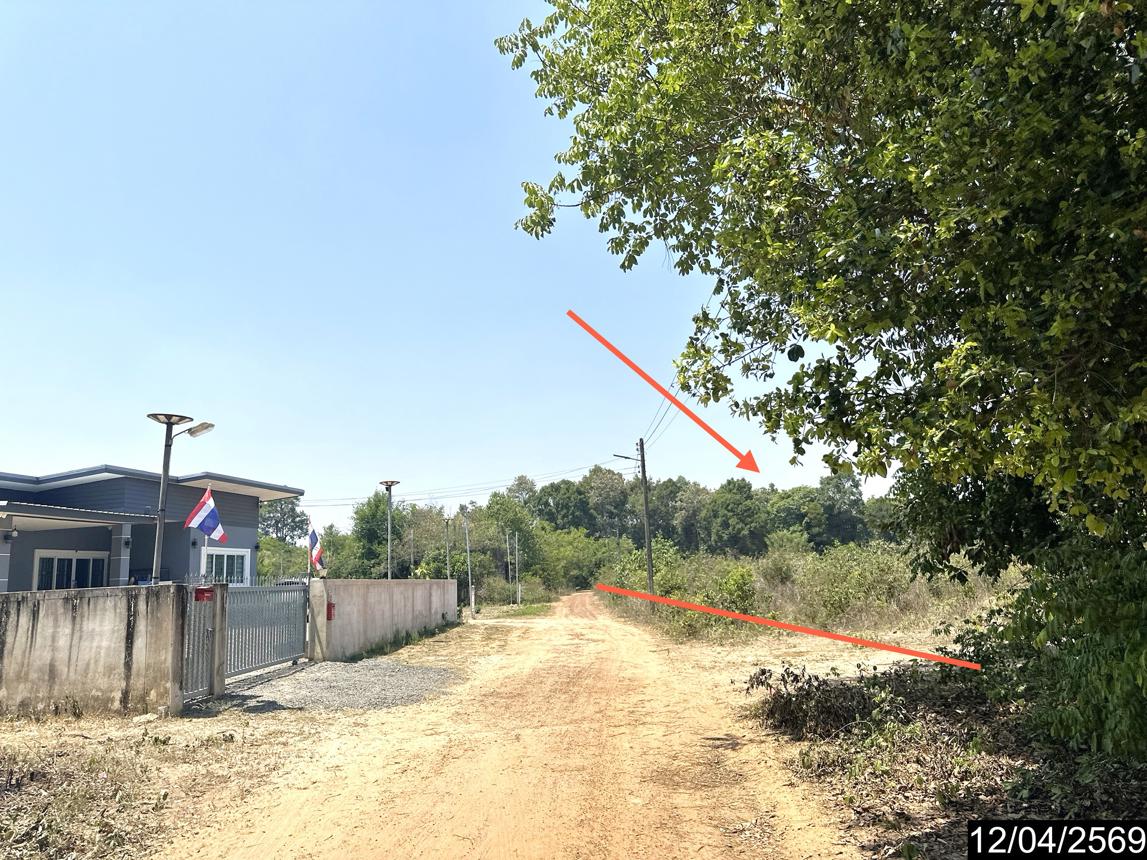 รูป ที่ดินว่างเปล่า 1662.3 ตร.วา เมืองอุบลราชธานี อุบลราชธานี 4.2M - รูปที่ 9/17