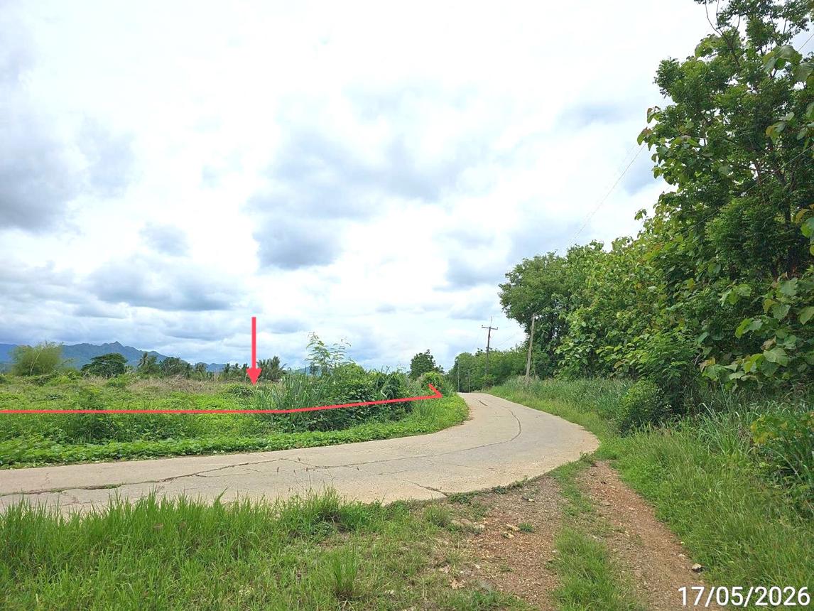 รูป ที่ดินว่างเปล่า 1888.3 ตร.วา เมืองเพชรบูรณ์ เพชรบูรณ์ 1.3M - รูปที่ 14/23