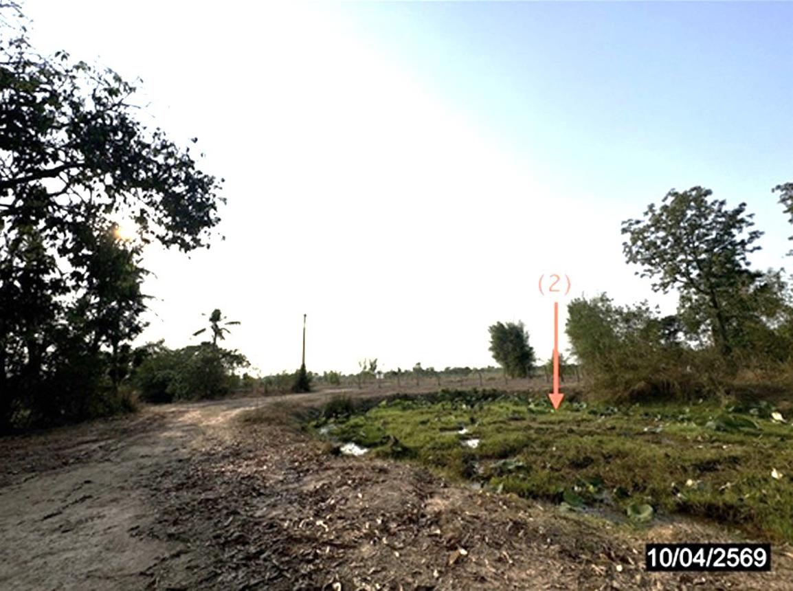 รูป ฟาร์ม 5633 ตร.วา ปรางค์กู่ ศรีสะเกษ 1.9M - รูปที่ 14/25