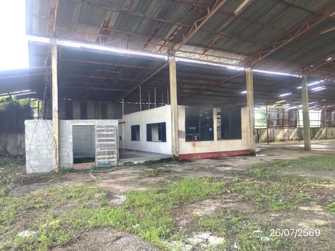 picture FACTORY 1579 Sq.w. Wiang Pa Pao Chiang Rai for 4M - 5/35