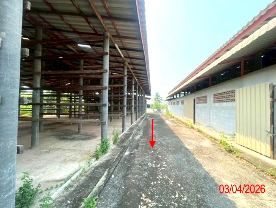 รูป โกดัง 395.1 ตร.วา บ้านโฮ่ง ลำพูน 1.4M - รูปที่ 41/45