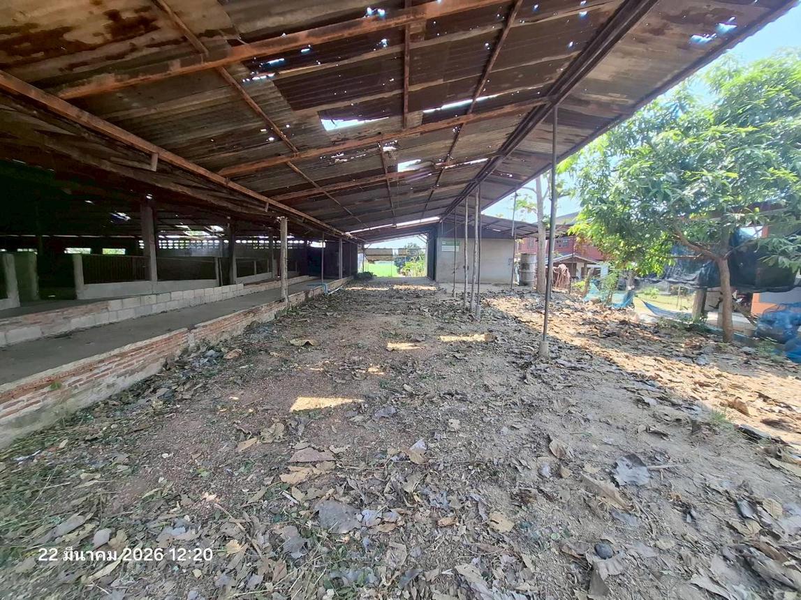 รูป ฟาร์ม 848.1 ตร.วา ศรีสำโรง สุโขทัย 2.2M - รูปที่ 17/31