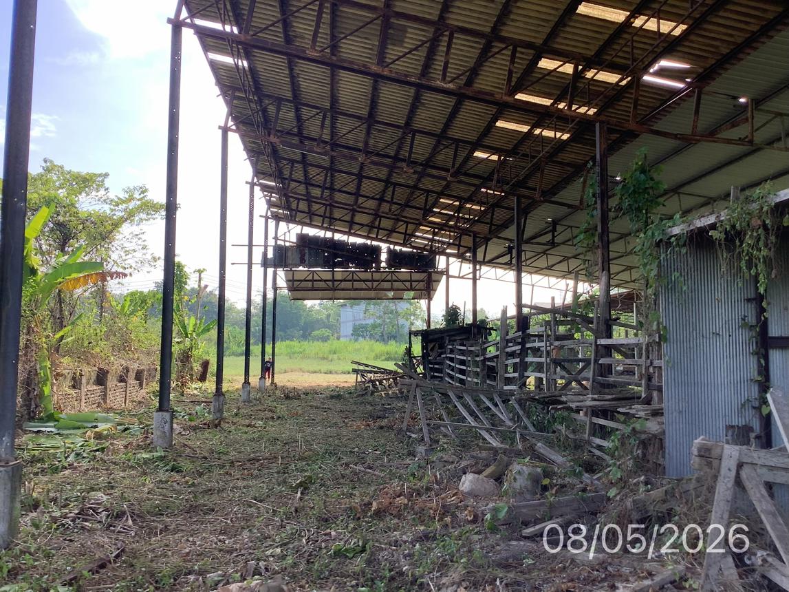 picture FACTORY 1484.7 Sq.w. Chawang Nakhon Sri Thammarat for 7.6M - 17/25