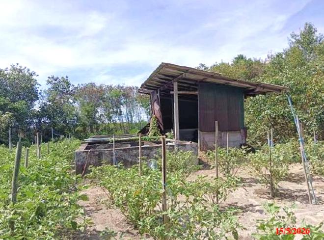 picture FACTORY 3390.6 Sq.w. Muang Pattani Pattani for 20.9M - 19/45