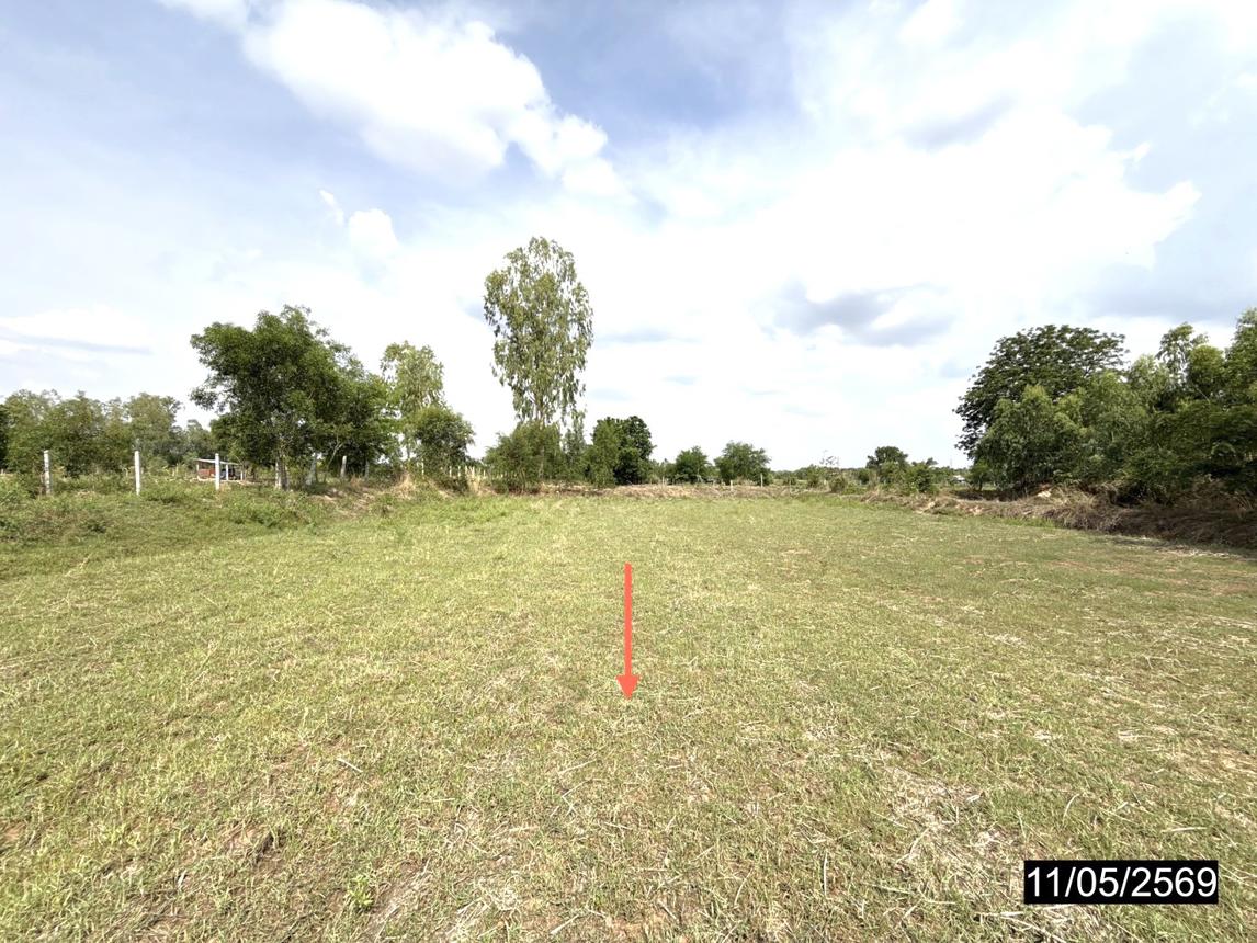 picture LAND 2621.3 Sq.w. Phon Khon Kaen for 1.2M - 11/17