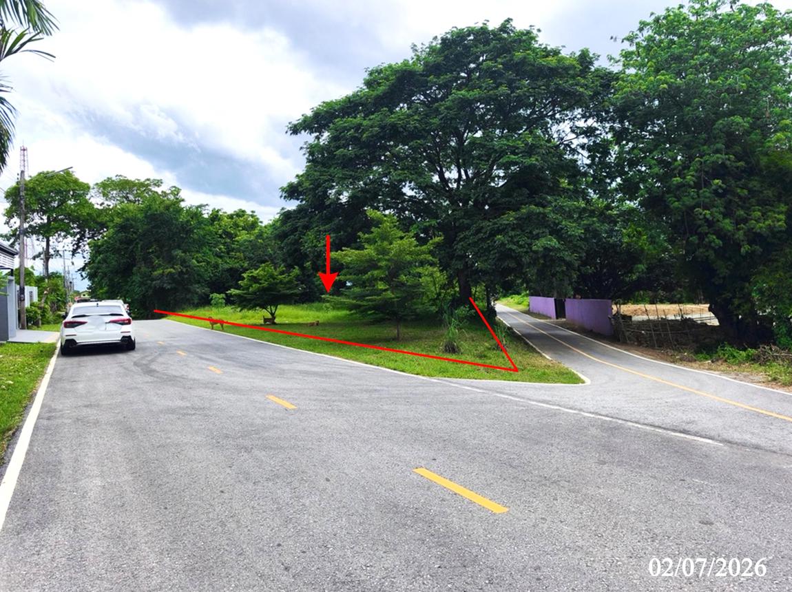 รูป ที่ดินว่างเปล่า 320 ตร.วา บางระกำ พิษณุโลก 2.1M - รูปที่ 13/19