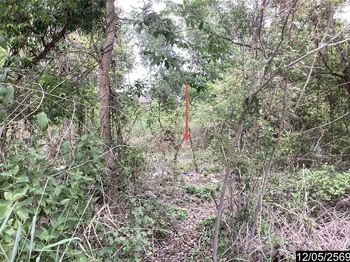 picture LAND 991.1 Sq.w. Muang Udon Thani Udon Thani for 8.4M - 13/19