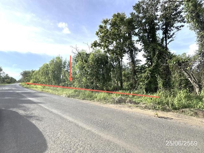 picture LAND 5200 Sq.w. Senangkhanikhom Amnat Charoen for 3.7M - 2/21