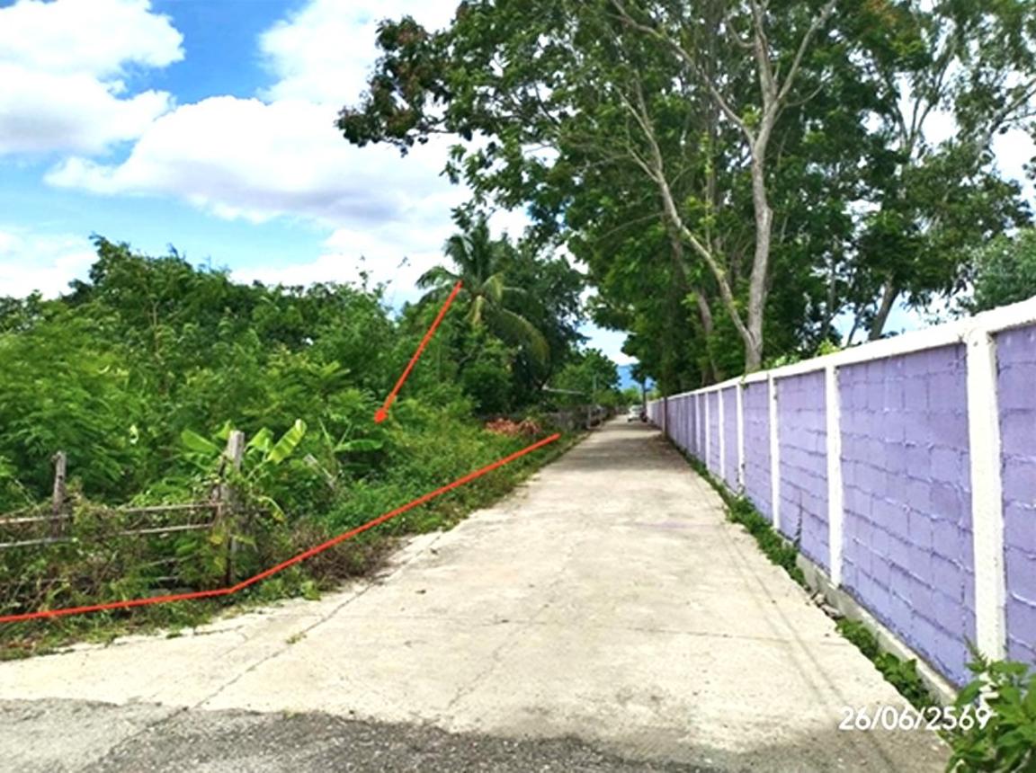 picture LAND 349.3 Sq.w. Dok Kham Tai Phayao for 1.2M - 11/21