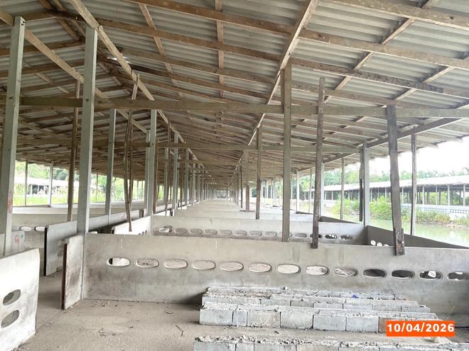 รูป ฟาร์ม 3649 ตร.วา เฉลิมพระเกียรติ นครศรีธรรมราช 8.1M - รูปที่ 9/37