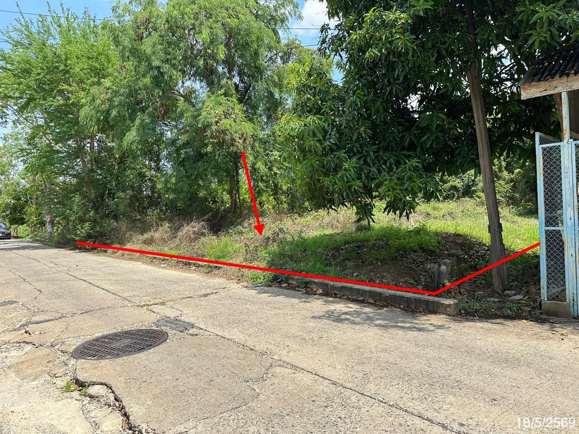 picture LAND 300 Sq.w. Taphan Hin Phichit for 980,000 - 13/21