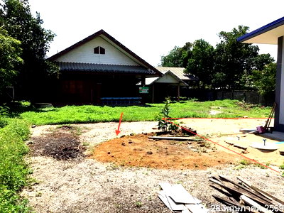 บ้านเดี่ยว เชียงราย : บ้านเดี่ยว 181 ตร.วา แม่จัน เชียงราย 1.3M