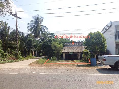 รูป บ้านเดี่ยว 75 ตร.วา ห้วยยอด ตรัง 1M - รูปที่ 22/25
