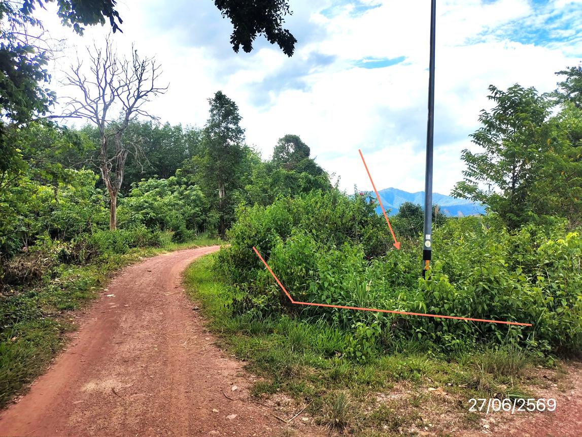 รูป ที่ดินว่างเปล่า 2402 ตร.วา ภูซาง พะเยา 730,000 - รูปที่ 12/21