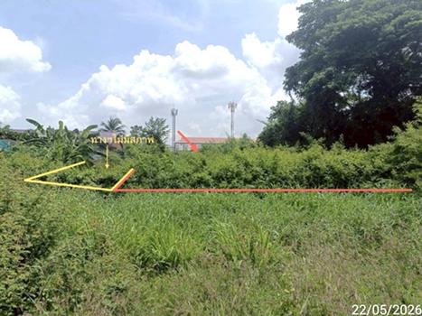 picture LAND 247 Sq.w. Muang Maha Sarakham Maha Sarakham for 2.5M - 16/19