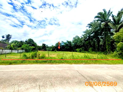 ขายที่ดิน : ที่ดินว่างเปล่า 235.5 ตร.วา เหนือคลอง กระบี่ 2.6M