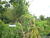 listing thumbnail image 9