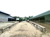 listing thumbnail image 18