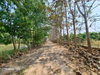listing thumbnail image 24