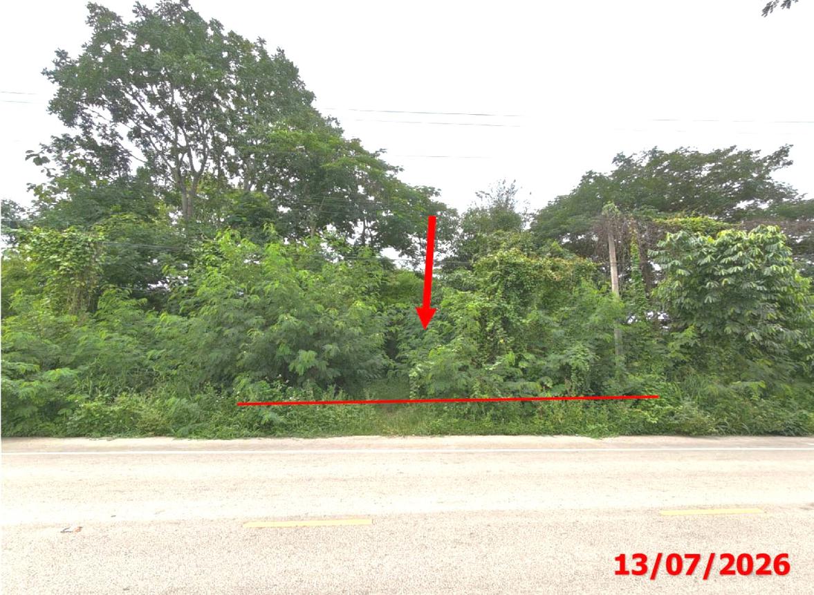 รูป อาคารโรงงาน 17123 ตร.วา เมืองลำปาง ลำปาง 43.3M - รูปที่ 60/65