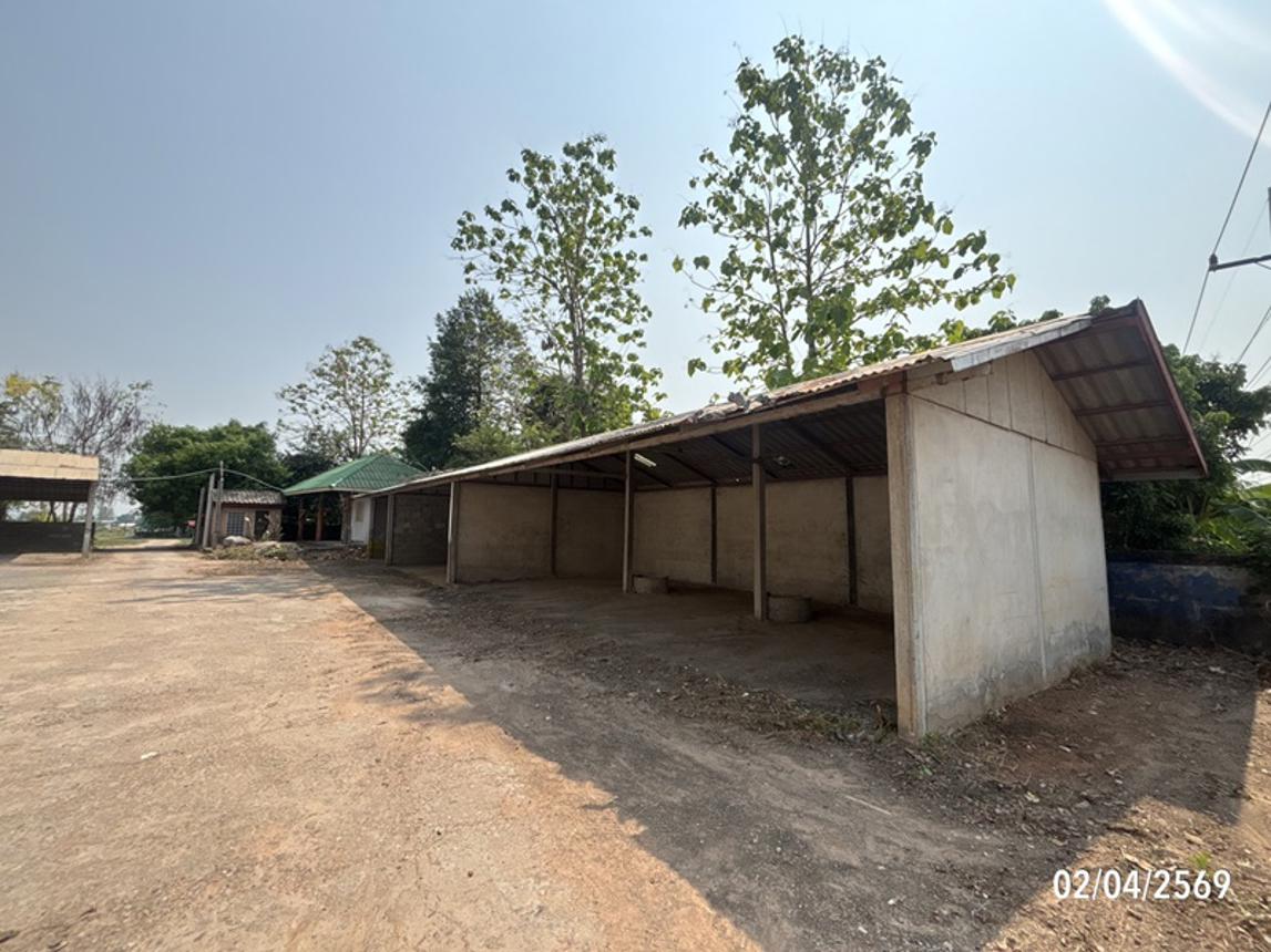 picture FACTORY 616 Sq.w. Tha Khan Tho Kalasin for 7.3M - 45/67