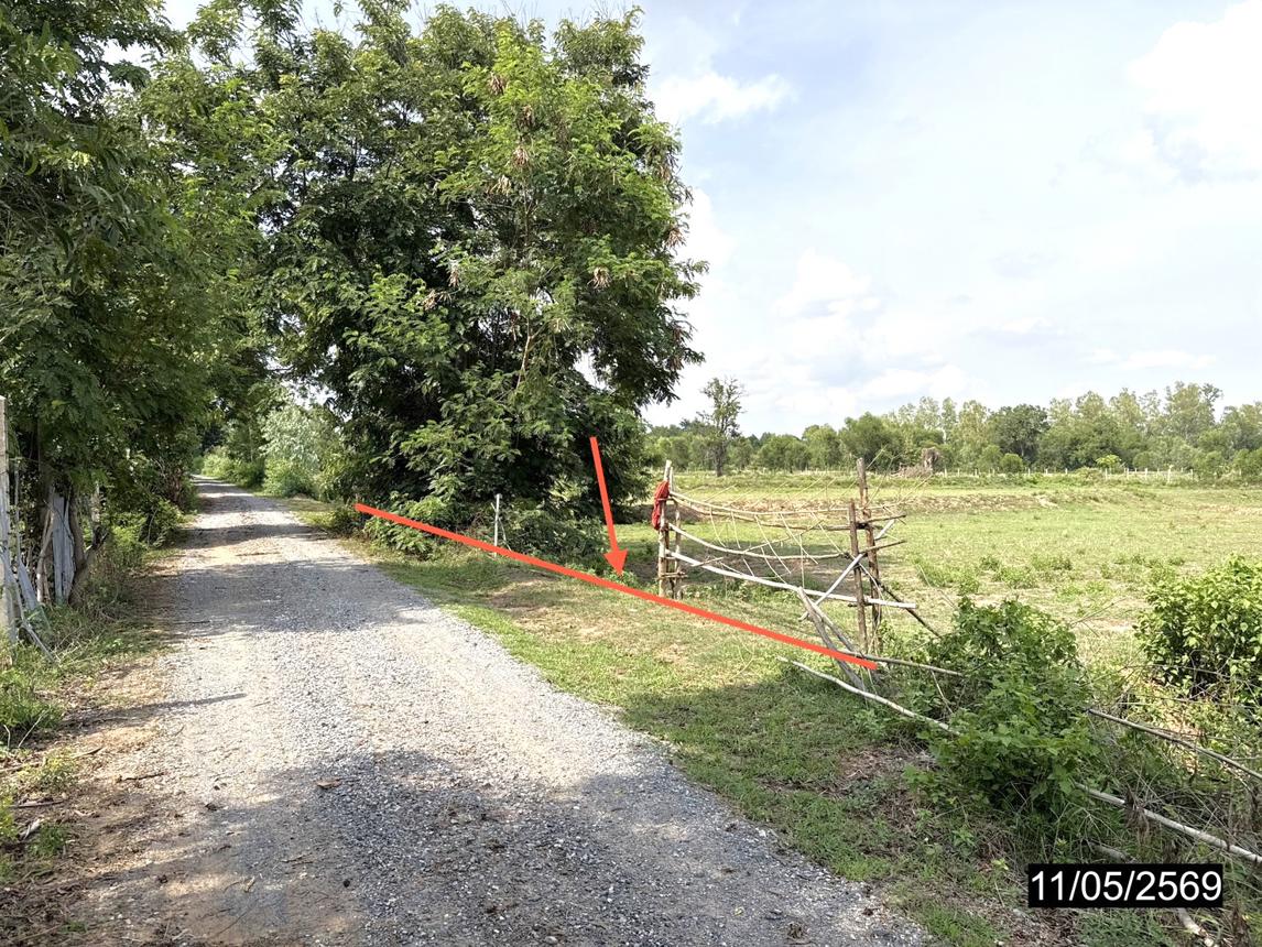 picture LAND 2621.3 Sq.w. Phon Khon Kaen for 1.2M - 9/17