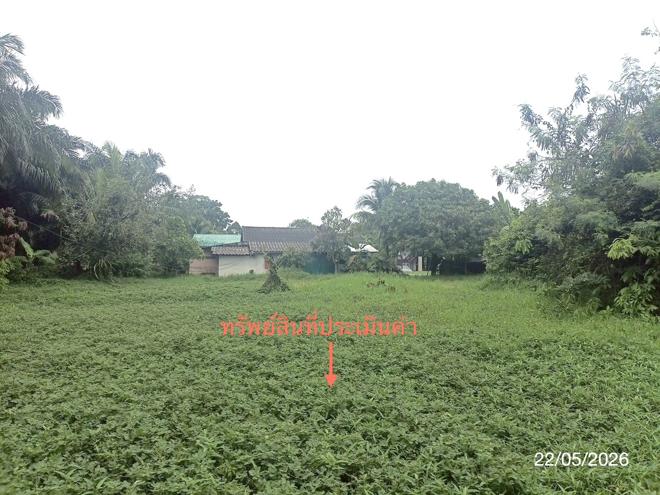รูป ที่ดินว่างเปล่า 143 ตร.วา พระพรหม นครศรีธรรมราช 841,000 - รูปที่ 6/17