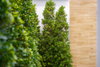 listing thumbnail image 30