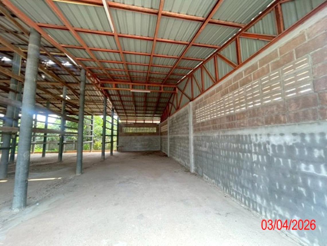 รูป โกดัง 395.1 ตร.วา บ้านโฮ่ง ลำพูน 1.4M - รูปที่ 36/45