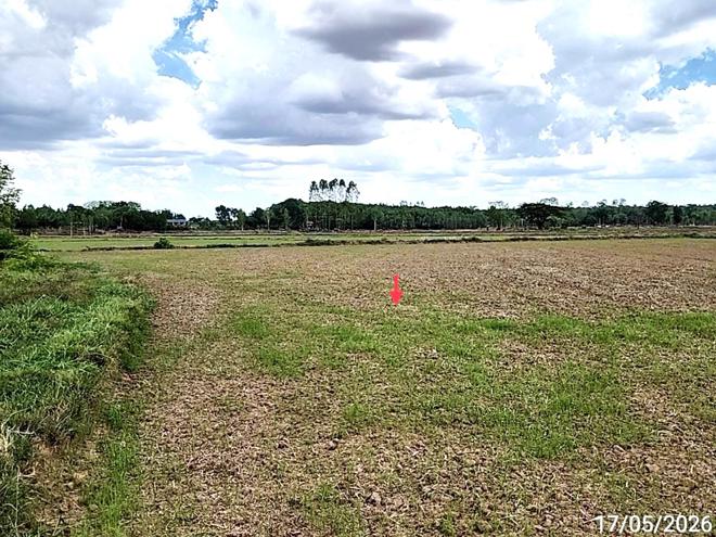 picture LAND 1522.1 Sq.w. Kosum Phisai Maha Sarakham for 419,000 - 8/25