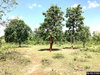 listing thumbnail image 16
