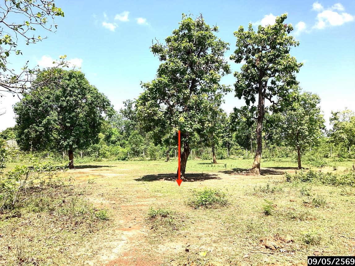 รูป ที่ดินว่างเปล่า 12389 ตร.วา กุสุมาลย์ สกลนคร 7.7M - รูปที่ 17/25