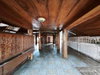 listing thumbnail image 25
