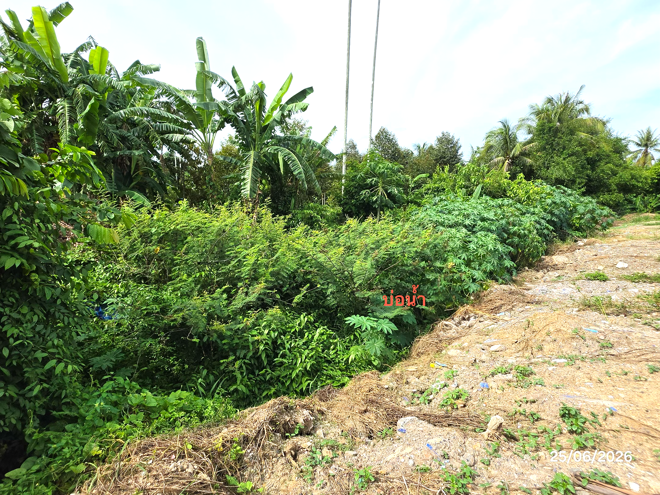 รูป ที่ดินว่างเปล่า 442 ตร.วา กาญจนดิษฐ์ สุราษฎร์ธานี 1.9M - รูปที่ 11/25