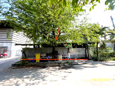 บ้านเดี่ยว วิทยาลัยการจัดการเพชรเกษม : บ้านเดี่ยว 35 ตร.วา เมืองสมุทรสาคร สมุทรสาคร 616,000