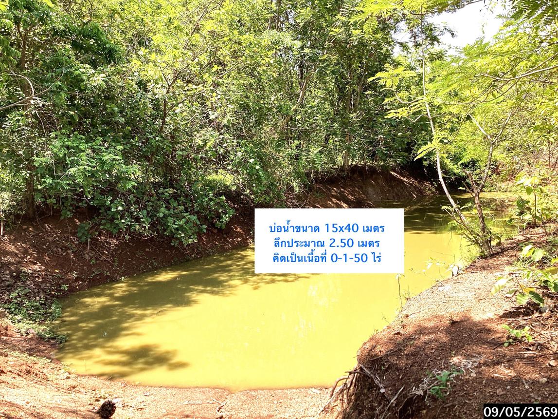 รูป ที่ดินว่างเปล่า 12389 ตร.วา กุสุมาลย์ สกลนคร 7.7M - รูปที่ 19/25