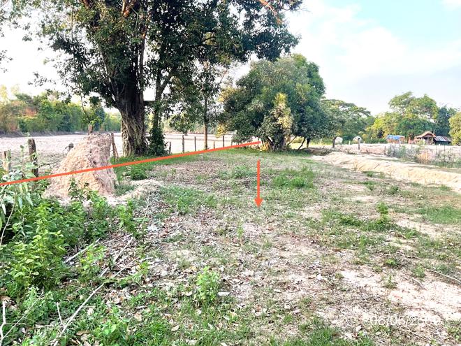 picture LAND 985 Sq.w. Khuang Nai Ubon Ratchathani for 1.4M - 8/25